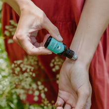 Load image into Gallery viewer, Clarity Blend Calm Moment Pulse Point Roller Collection | 英國Clarity Blend Calm Moment精油滾珠套裝