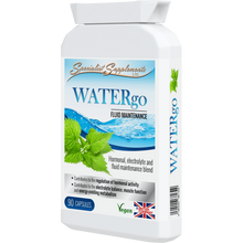 Load image into Gallery viewer, 天然排水丸 WATERgo