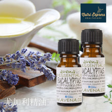 Load image into Gallery viewer, 尤加利精油 Eucalyptus Pure Essential Oil (Eucalyptus globulus)