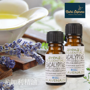 尤加利精油 Eucalyptus Pure Essential Oil (Eucalyptus globulus)