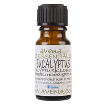 Load image into Gallery viewer, 尤加利精油 Eucalyptus Pure Essential Oil (Eucalyptus globulus)