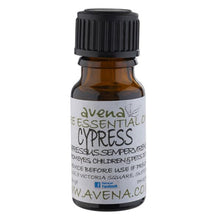 將圖片載入圖庫檢視器 絲柏精油 Cypress Essential Oil