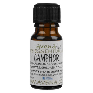 樟腦精油 Camphor Essential Oil (Cinnamomum camphora)