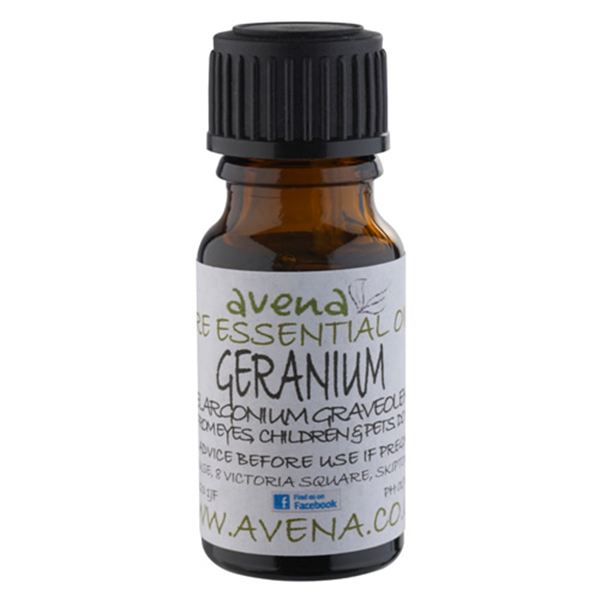天竺葵精油 Geranium Essential Oil (Pelargonium graveolens)
