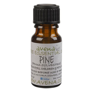 赤松精油 Pine Essential Oil (Pinus sylvestris)