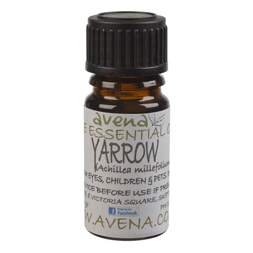 西洋蓍草精油 Yarrow Essential Oil (Achillea millefolium)